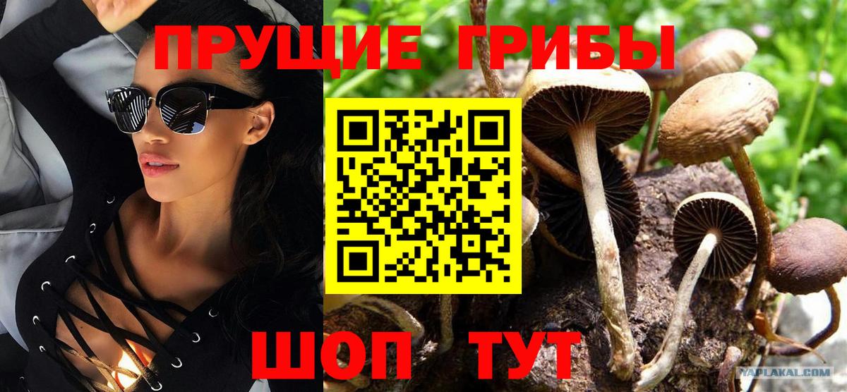 Псилоцибиновые грибы ЛСД Ижевск